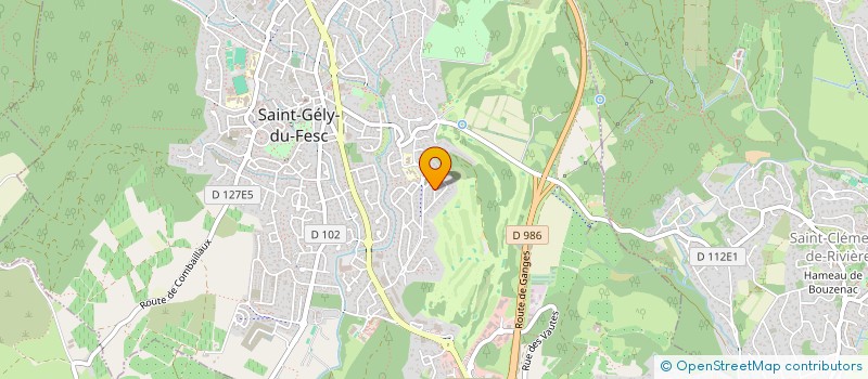 localisation de l'entreprise MONSIEUR MATTEO VALENZA  SAINT-GELY-DU-FESC