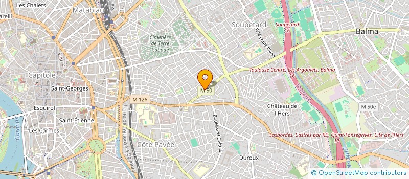localisation de l'entreprise MONSIEUR MATTHEW HERMANUS à TOULOUSE