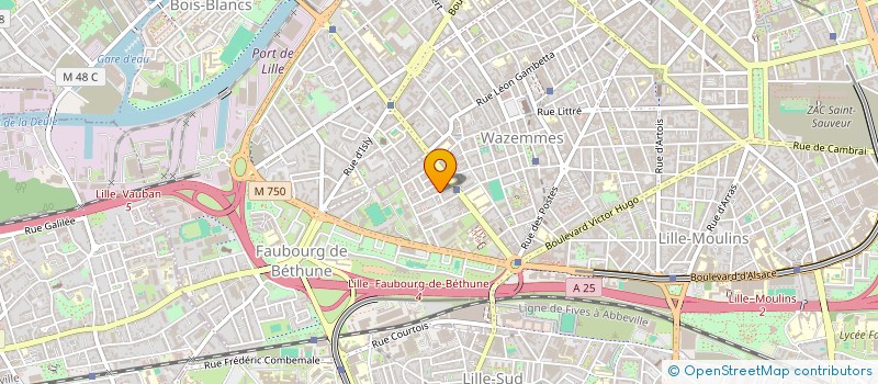 localisation de l'entreprise MONSIEUR MATTHIAS MOUTON à LILLE