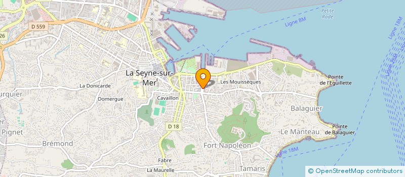 localisation de l'entreprise MONSIEUR MATTHIAS MUNOZ à LA SEYNE-SUR-MER