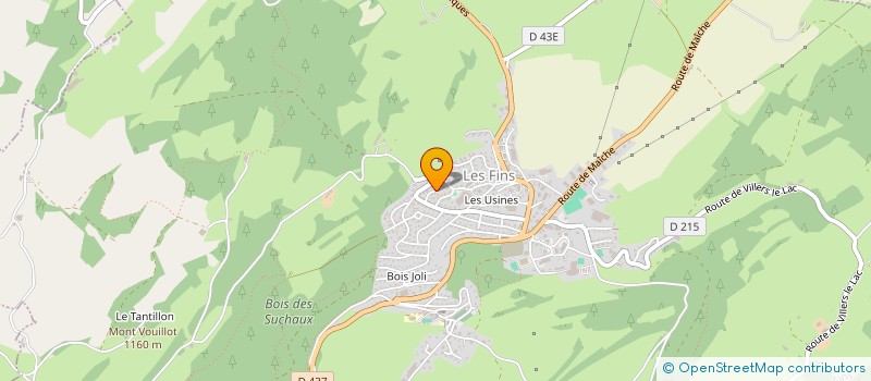 localisation de l'entreprise MONSIEUR MATTHIEU BOUJON  LES FINS