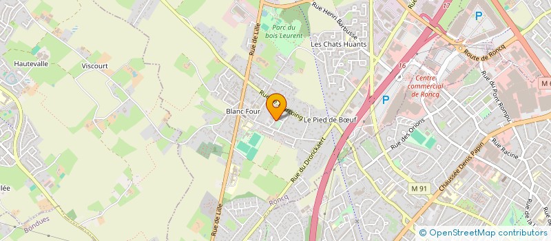 localisation de l'entreprise MONSIEUR MATTHIEU BREBION  RONCQ