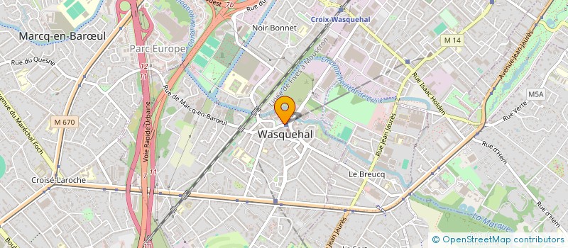 localisation de l'entreprise MONSIEUR MATTHIEU BRICHE à WASQUEHAL
