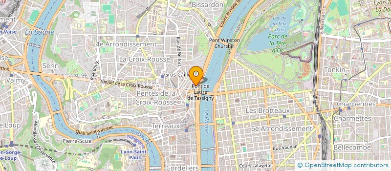 localisation de l'entreprise MONSIEUR MATTHIEU CHAPOUTIER à LYON