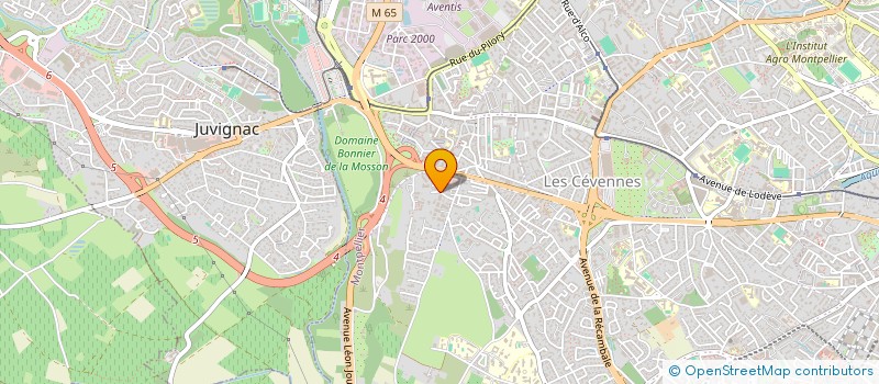 localisation de l'entreprise MONSIEUR MATTHIEU COUKAN à MONTPELLIER