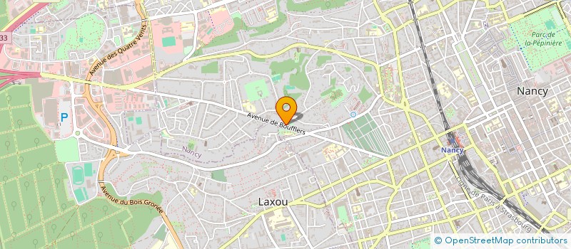 localisation de l'entreprise MONSIEUR MATTHIEU DANGIN  NANCY