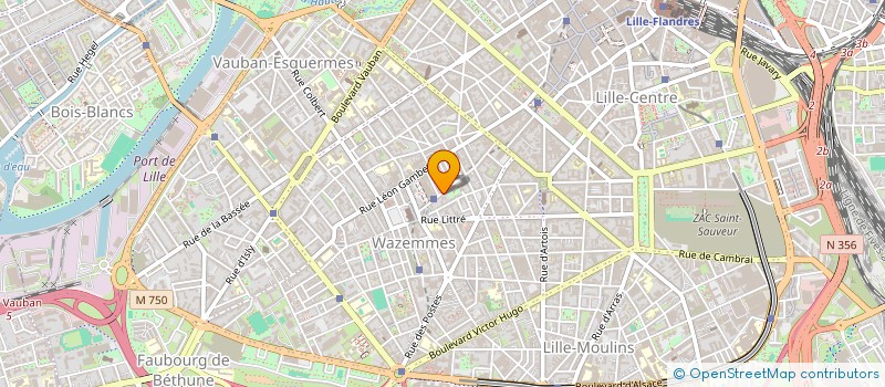 localisation de l'entreprise MONSIEUR MATTHIEU DANIEL  LILLE