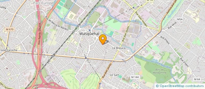 localisation de l'entreprise MONSIEUR MATTHIEU DESREUMAUX  WASQUEHAL