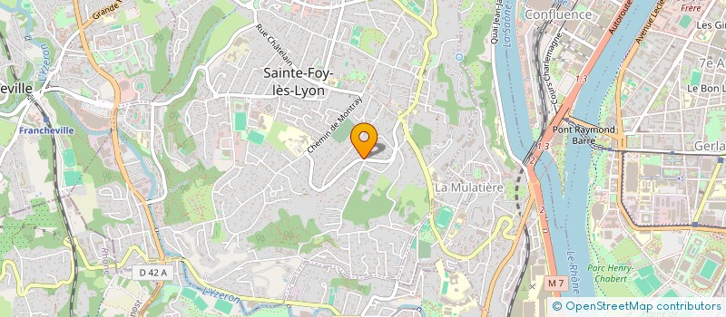 localisation de l'entreprise MONSIEUR MATTHIEU DUBUS  SAINTE-FOY-LES-LYON