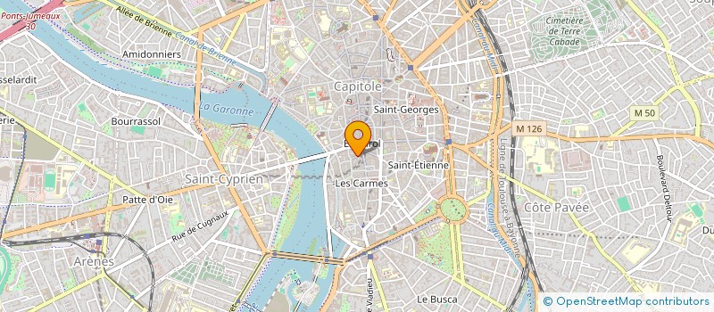 localisation de l'entreprise MONSIEUR MATTHIEU EYANG TOULOU à TOULOUSE