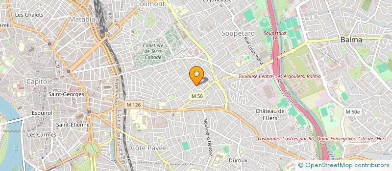 localisation de l'entreprise MONSIEUR MATTHIEU FLORES  TOULOUSE