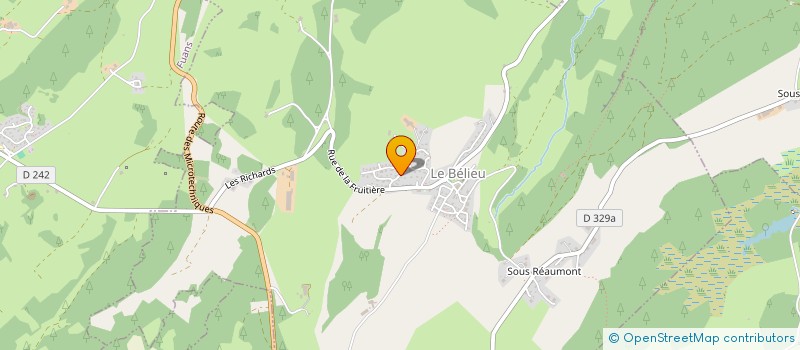 localisation de l'entreprise MONSIEUR MATTHIEU GAUME  BELIEU (LE)