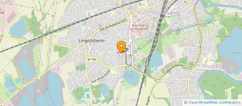 localisation de l'entreprise MONSIEUR MATTHIEU KRETZ  LINGOLSHEIM