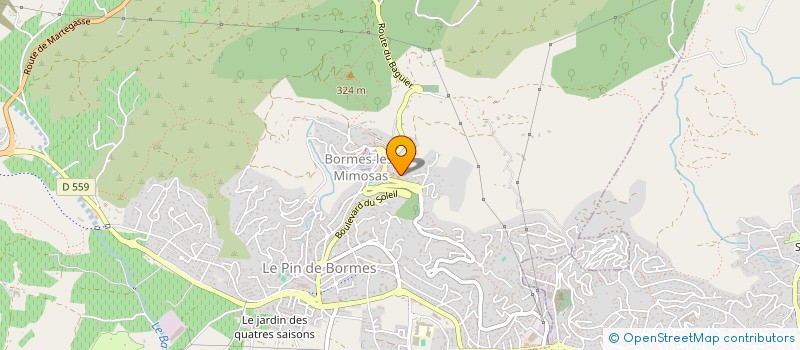 localisation de l'entreprise MONSIEUR MATTHIEU LAME  BORMES-LES-MIMOSAS