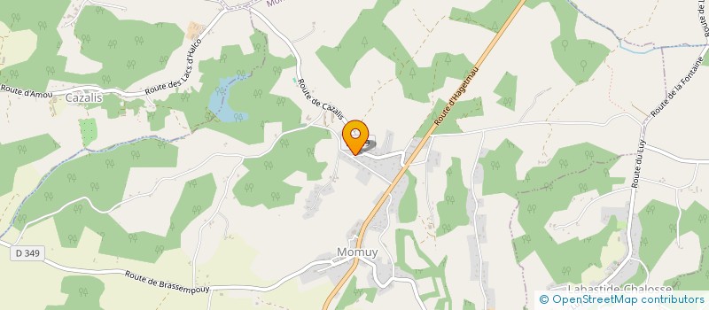 localisation de l'entreprise MONSIEUR MATTHIEU LESAGE  CASTAIGNOS-SOUSLENS