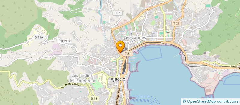 localisation de l'entreprise MONSIEUR MATTHIEU MANCEAU à AJACCIO