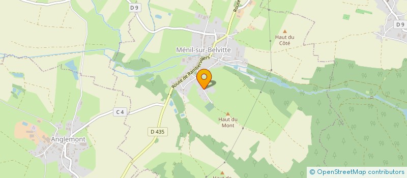 localisation de l'entreprise MONSIEUR MATTHIEU OGER  MENIL-SUR-BELVITTE