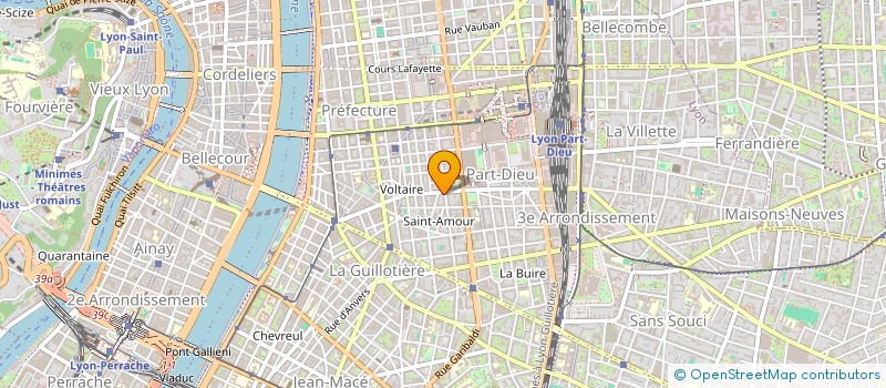 localisation de l'entreprise MONSIEUR MATTHIEU RISMANN  LYON