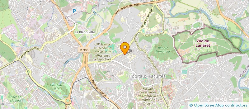 localisation de l'entreprise MONSIEUR MATTHIEU WALCKER à MONTPELLIER