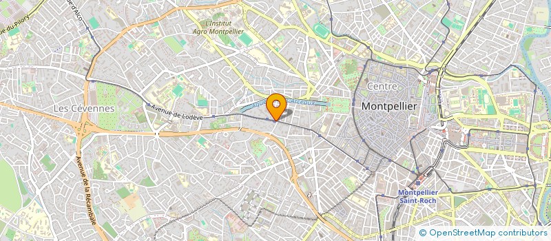 localisation de l'entreprise MONSIEUR MATTHIEU ZEKRI  MONTPELLIER