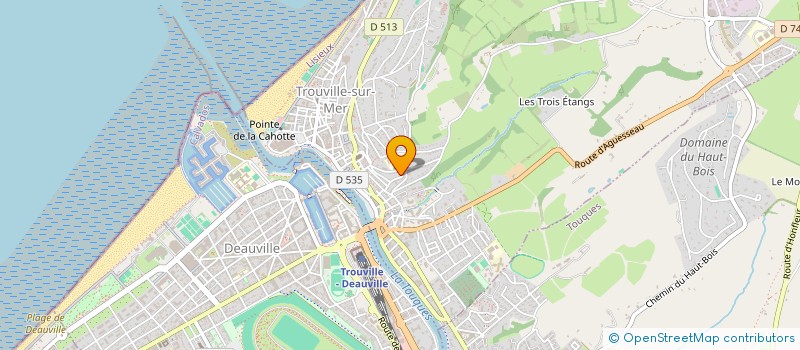 localisation de l'entreprise MONSIEUR MAURICE DEPALMAS  TROUVILLE-SUR-MER