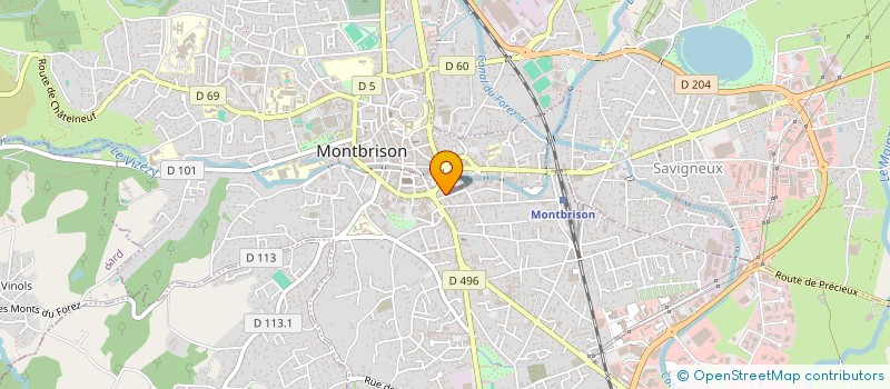 localisation de l'entreprise MONSIEUR MAURICE DUCHESNE  MONTBRISON