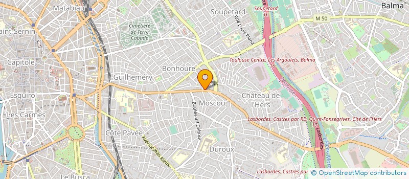 localisation de l'entreprise MONSIEUR MAURICE MAMY à TOULOUSE