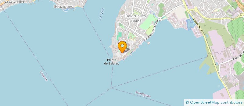 localisation de l'entreprise MONSIEUR MAURICE REYNIER  BALARUC-LES-BAINS