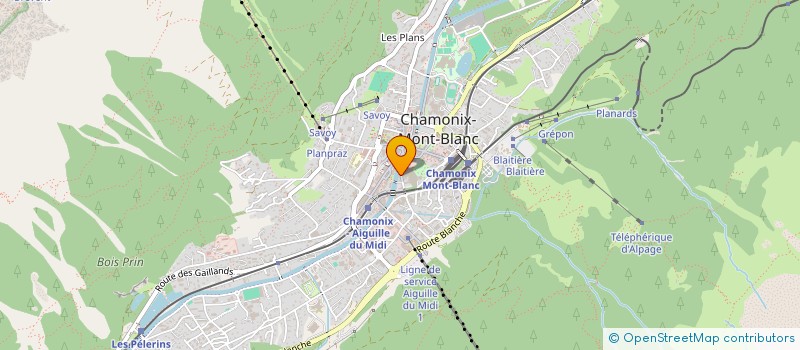 localisation de l'entreprise MONSIEUR MAURICIO FERRARI  CHAMONIX-MONT-BLANC