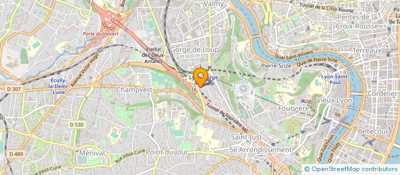 localisation de l'entreprise MONSIEUR MAURIZIO IL GRANDE  LYON