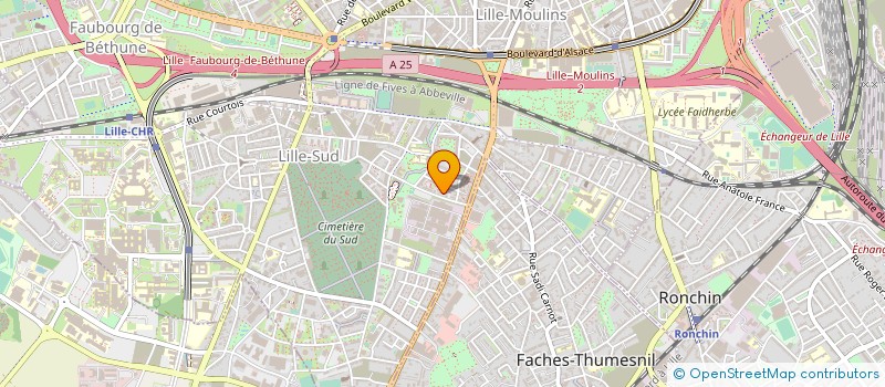 localisation de l'entreprise MONSIEUR MAVERICK BLANTON  LILLE