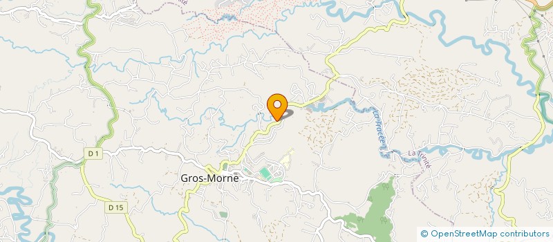 localisation de l'entreprise MONSIEUR MAX ALINE à GROS-MORNE