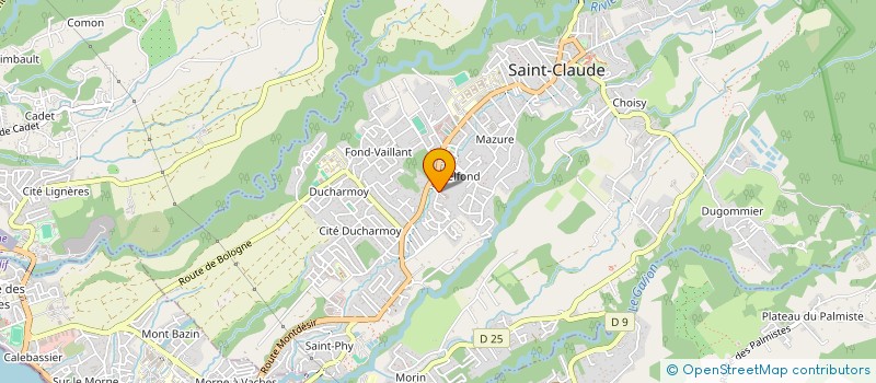 localisation de l'entreprise MONSIEUR MAX-AMAURY CATRY à SAINT-CLAUDE