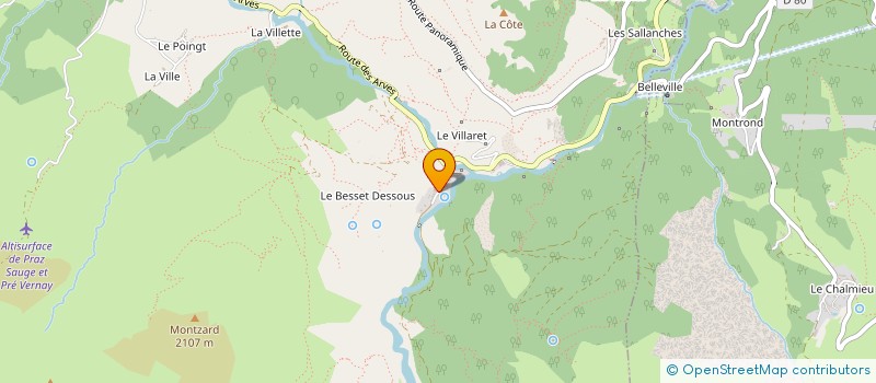 localisation de l'entreprise MONSIEUR MAX BEAL  SAINT-SORLIN-D ARVES