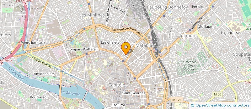 localisation de l'entreprise MONSIEUR MAX DE REYDET DE VULPILLIERES  TOULOUSE