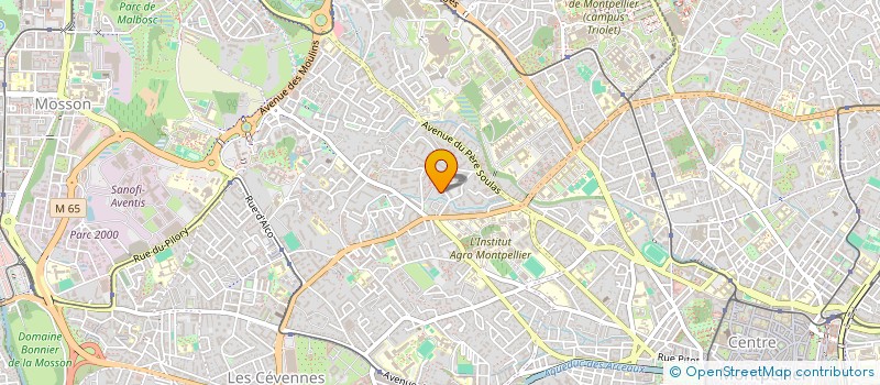 localisation de l'entreprise MONSIEUR MAX DESPLANCHES à MONTPELLIER