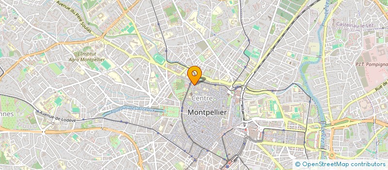 localisation de l'entreprise MONSIEUR MAX DUCOUT à MONTPELLIER