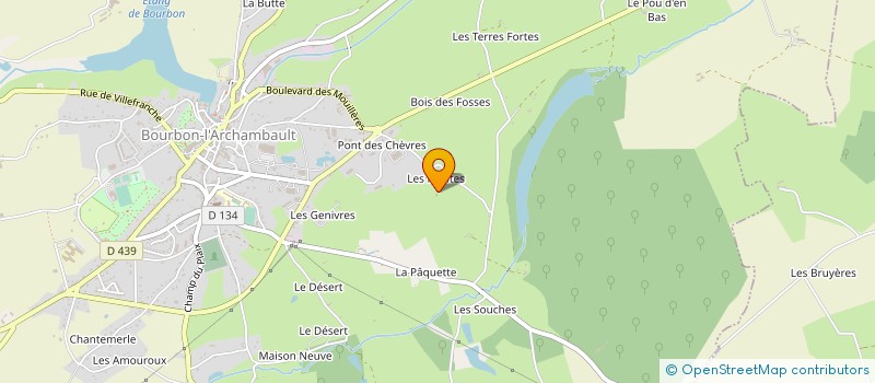 localisation de l'entreprise MONSIEUR MAX HERAULT  BOURBON-L'ARCHAMBAULT