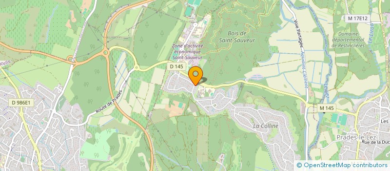 localisation de l'entreprise MONSIEUR MAX LECOUTURIER  SAINT-CLEMENT-DE-RIVIERE