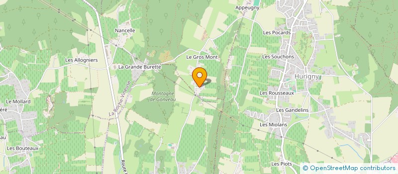localisation de l'entreprise MONSIEUR MAX MARTIN à ROCHE-VINEUSE (LA)