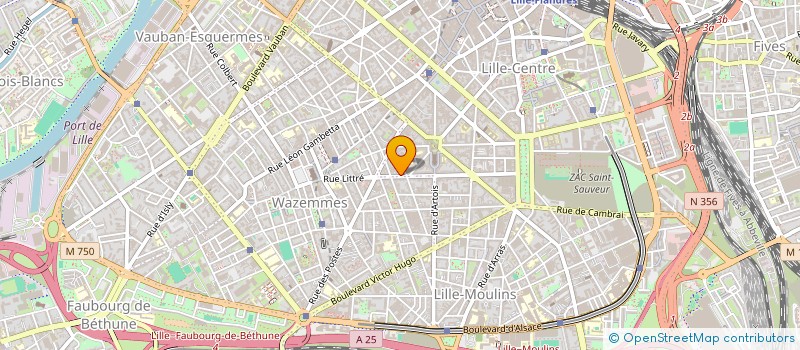 localisation de l'entreprise MONSIEUR MAX NAVAUX  LILLE