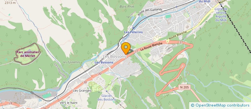 localisation de l'entreprise MONSIEUR MAX WATTERS  CHAMONIX-MONT-BLANC