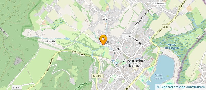 localisation de l'entreprise MONSIEUR MAXANDRE NEVEUX  DIVONNE-LES-BAINS