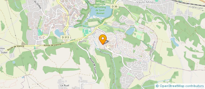 localisation de l'entreprise MONSIEUR MAXENCE DA SILVA à ROCHE