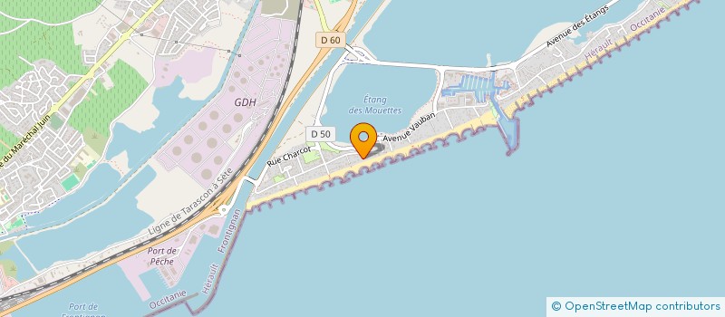 localisation de l'entreprise MONSIEUR MAXENCE ESPIE à FRONTIGNAN