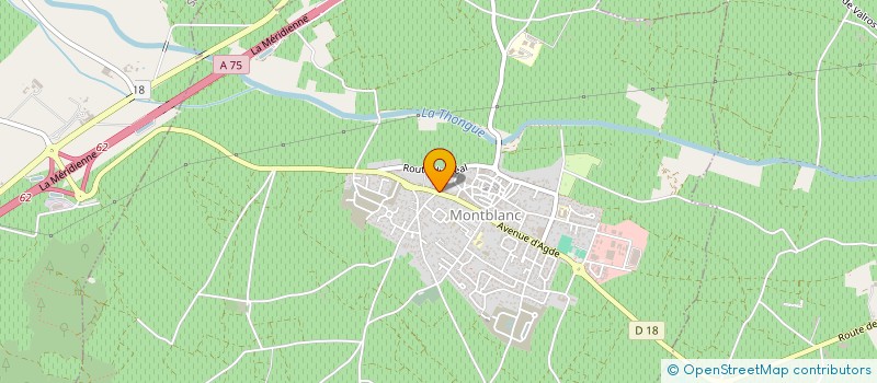 localisation de l'entreprise MONSIEUR MAXENCE LAMOUROUX  MONTBLANC