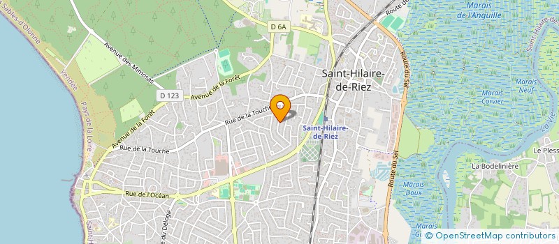 localisation de l'entreprise MONSIEUR MAXENCE LE NEE à SAINT-HILAIRE-DE-RIEZ