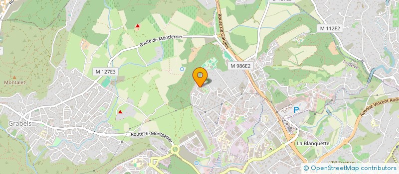 localisation de l'entreprise MONSIEUR MAXENCE PIEDELOUP  ENGHIEN-LES-BAINS