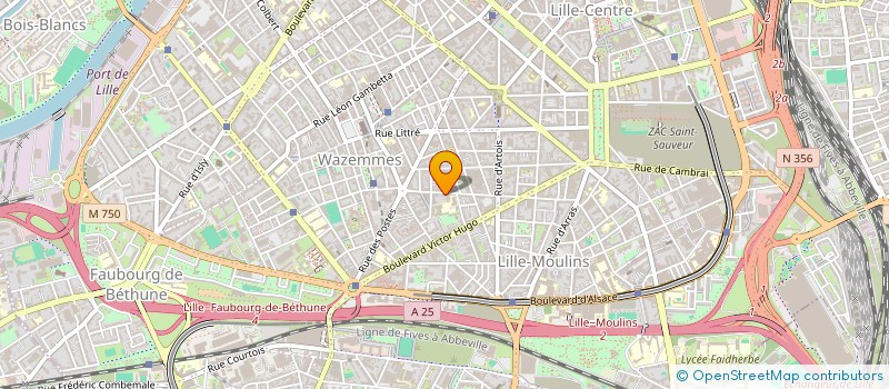 localisation de l'entreprise MONSIEUR MAXENCE PINEAU  LILLE