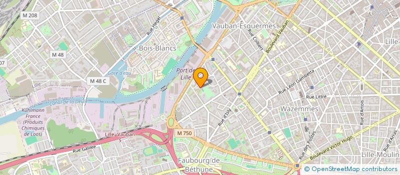 localisation de l'entreprise MONSIEUR MAXENCE ROSE  LILLE